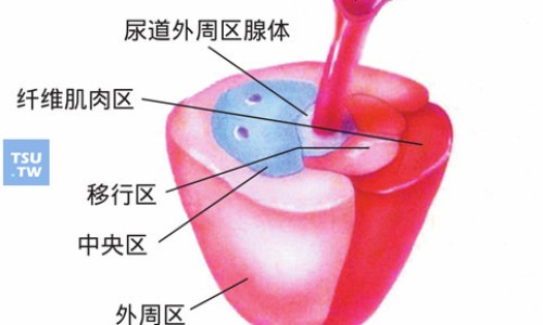疏肝利胆胶囊的作用-【疏肝利胆说明书】疏肝利胆颗粒多少钱一盒 - 疏肝利胆颗粒照片网